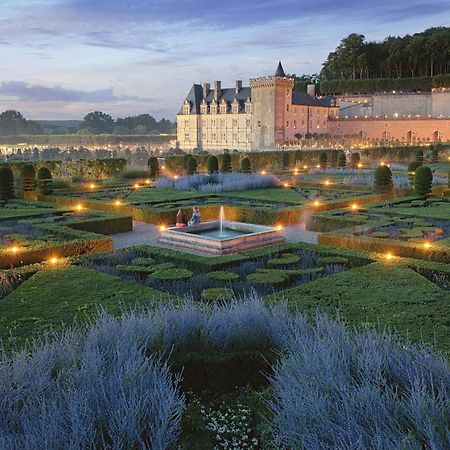 La Bienheureuse Maison, Vue Sur Le Chateau De Villandry Exterior foto